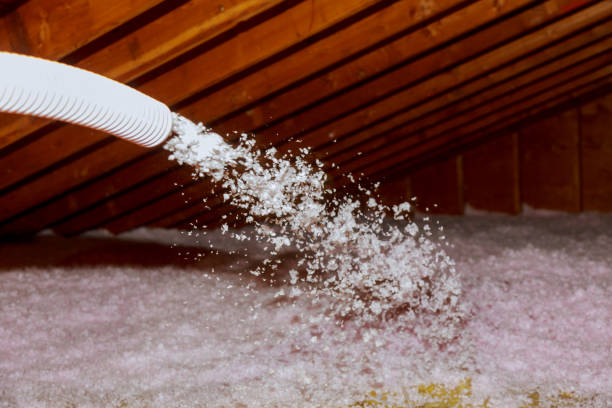 Types of Insulation We Offer in Junction City, CA